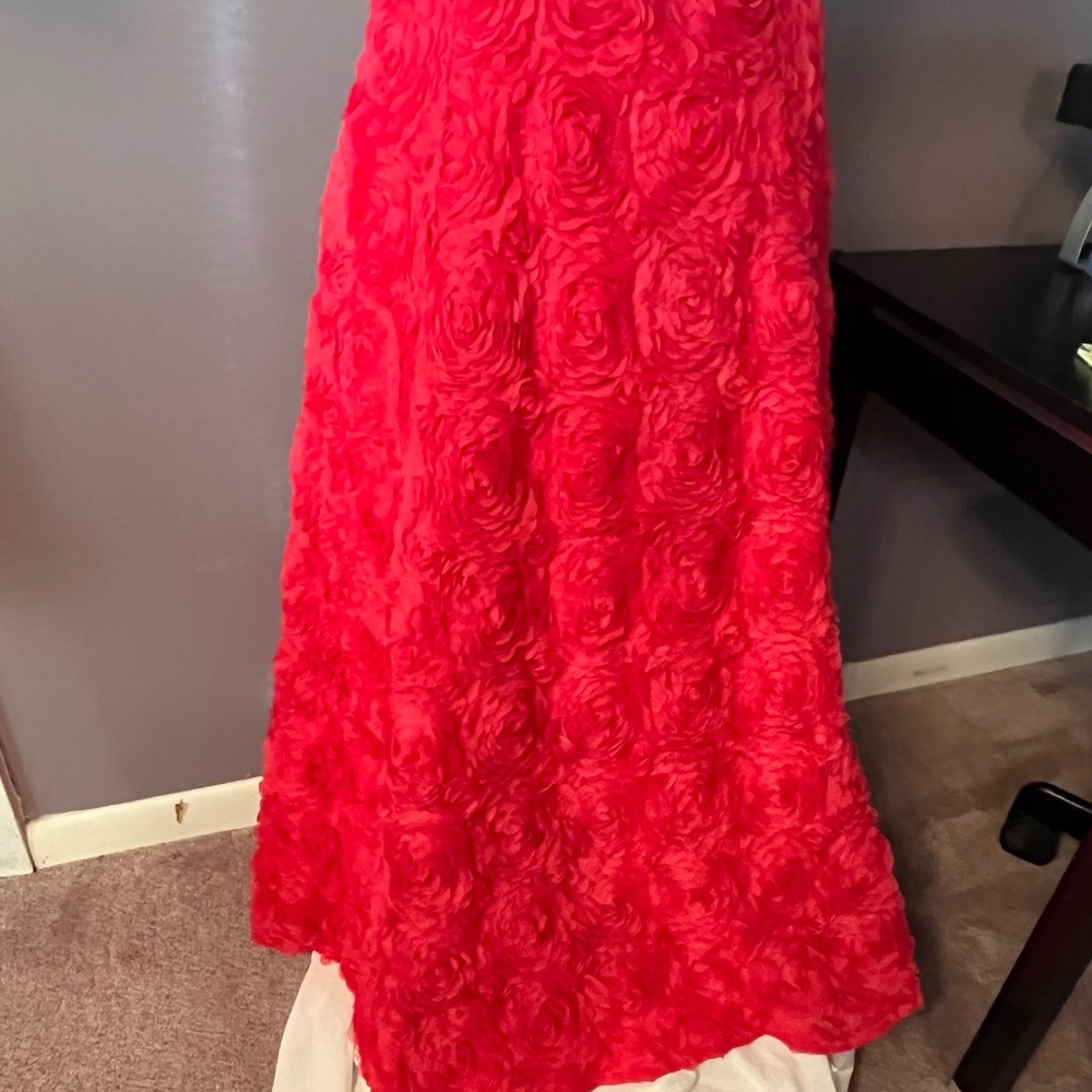 SKIRT OF ROSES - Picture 3 of 4